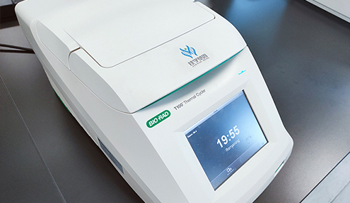 【佳学基因案例